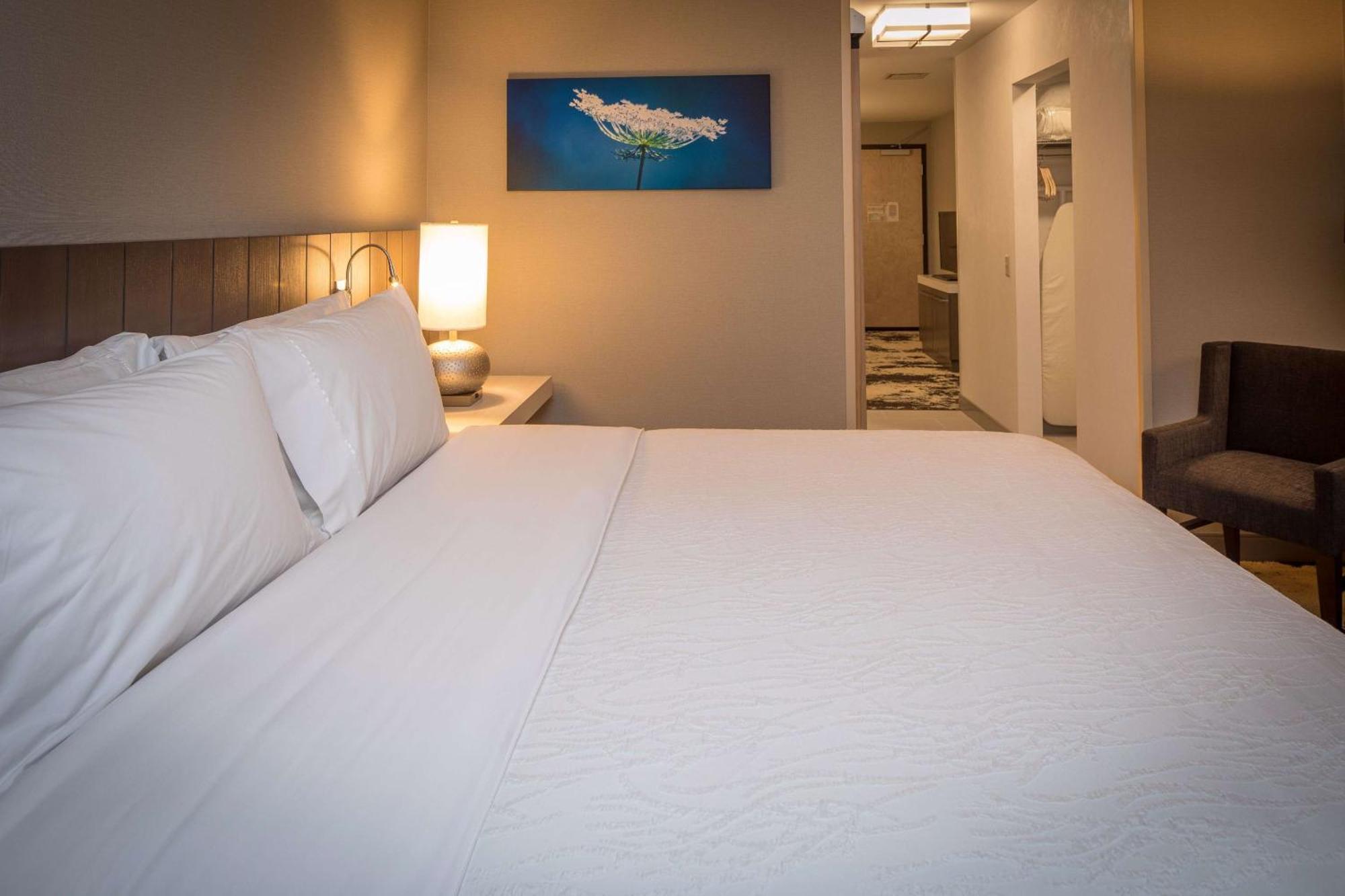 Hilton Garden Inn Pittsburgh Airport Moon Township Exterior foto